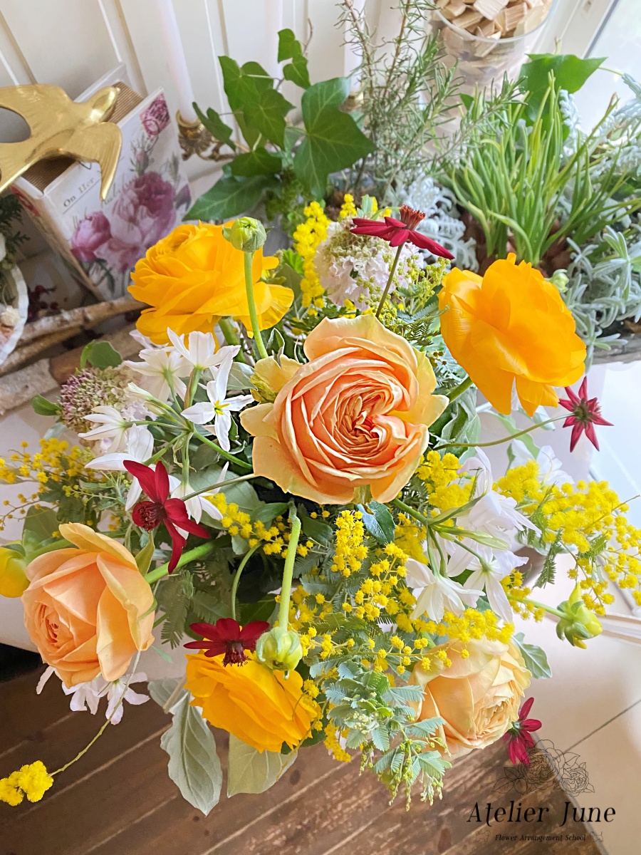 ミモザ、ミモザアカシア、三角葉アカシア