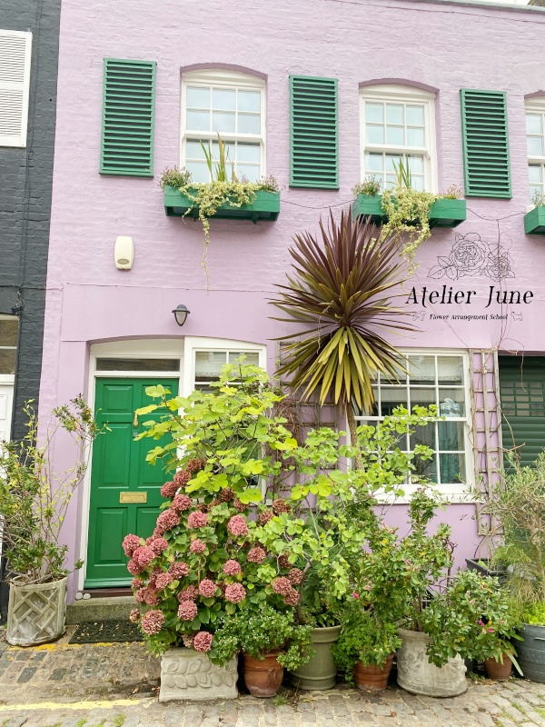 イギリスの街の花、イギリス花留学、