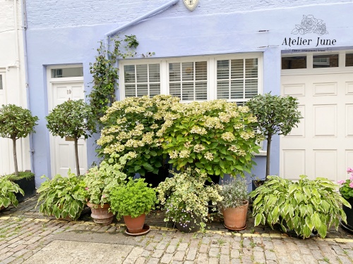 イギリスの街の花、イギリス花留学、