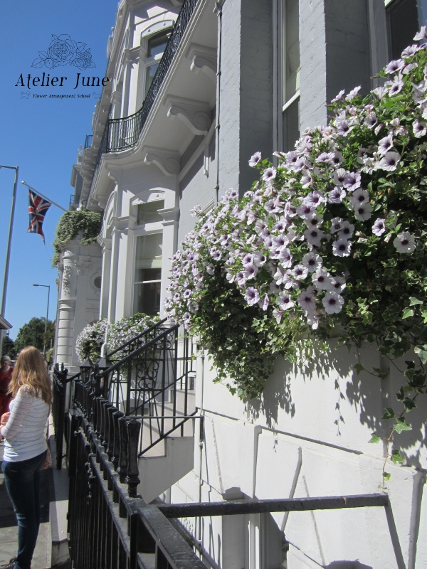 イギリスの街の花、イギリス花留学、