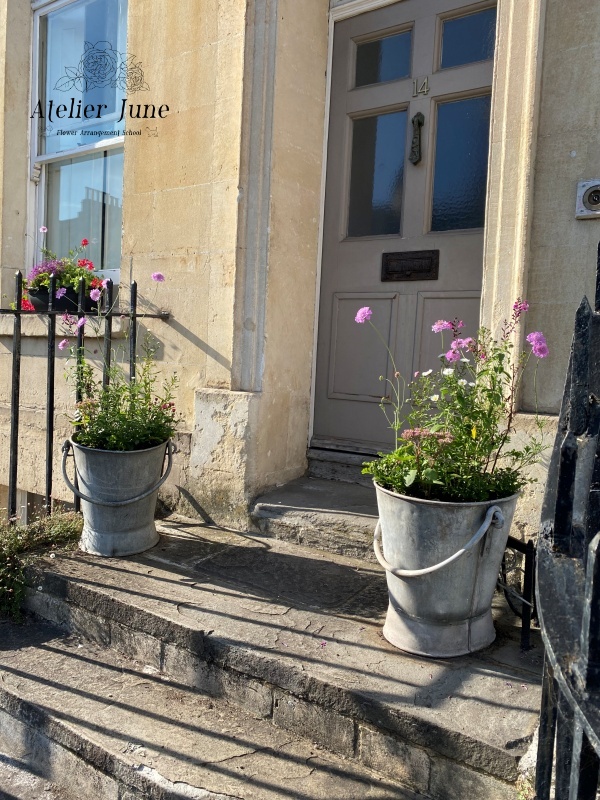 イギリスの街の花、イギリス花留学、