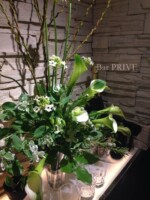 活け込み、店舗会場装花、カラーのグリーンゴッデス、オーニソガラムのサンデルシー
