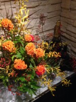 ケイトウ、アランダ、活け込み、店舗花装花、装花、