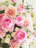 香りのよいバラ「スイートイブピアッチェ」とダリアの「ペアレディ」スプレーバラ「グリーンアイス」 フラワーギフト