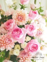 香りの良いバラ「スイートイブピアッチェ」
ダリア「ペアレディ」
スプレーバラ「グリーンアイス」 スイートイブピアッチェのフラワーギフト